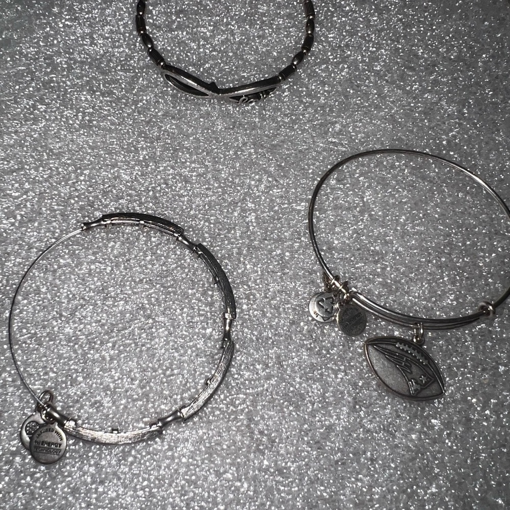 Alex n Ani Silver Charm Bracelet Set